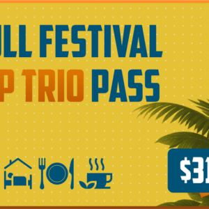 Full Festival VIP Trio Stay Pass